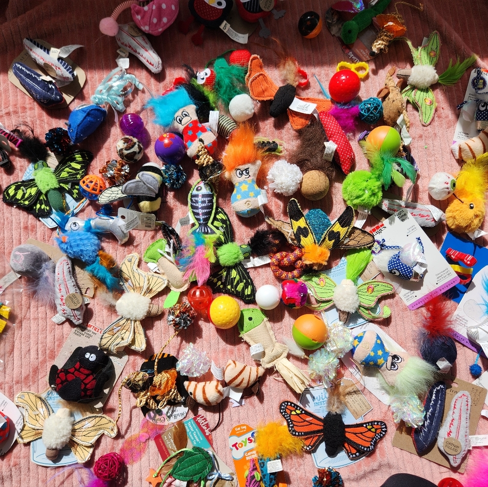 Cat toys & collars